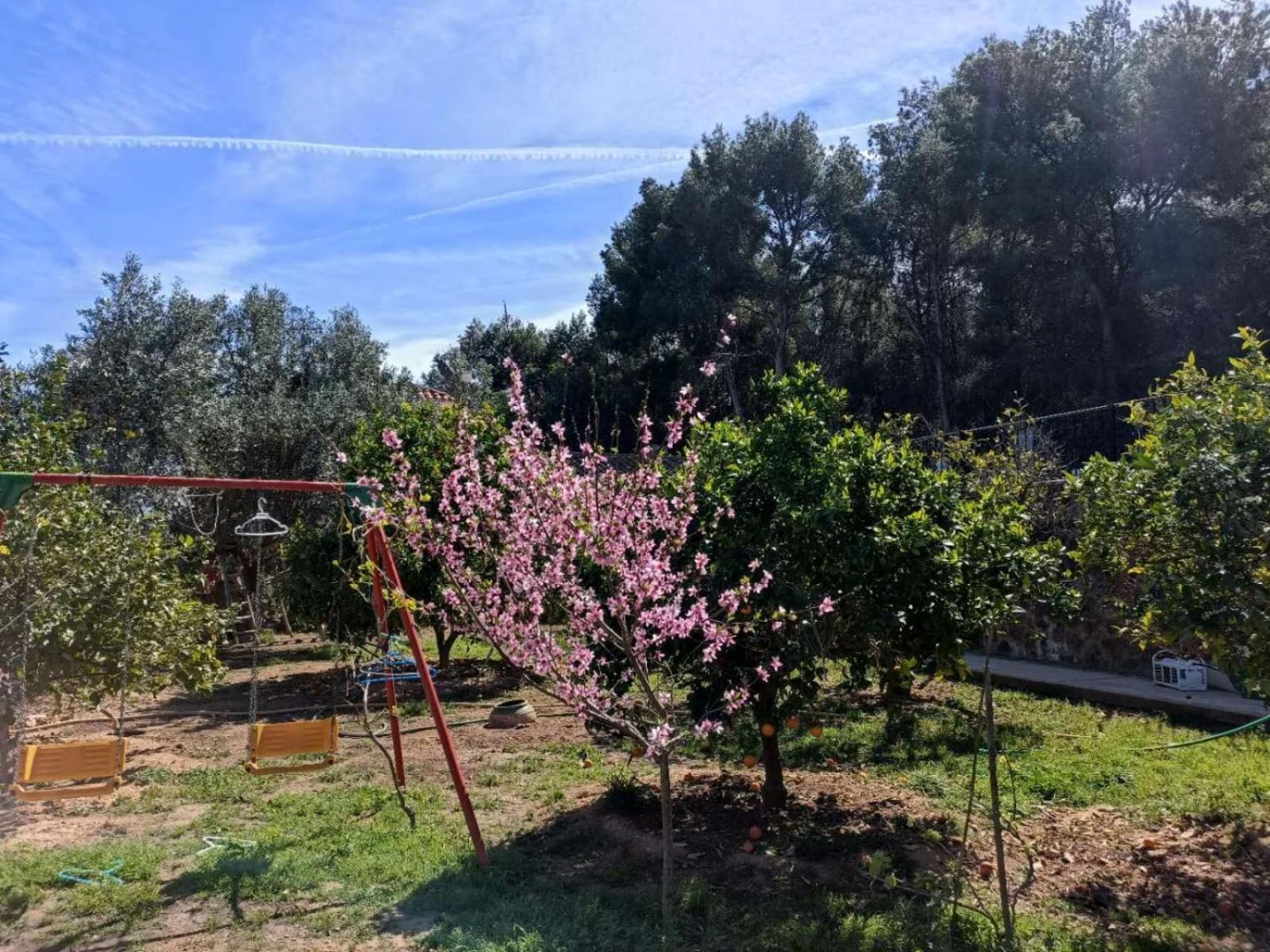 Bedroom With Private Bathroom And Two-Bedroom Family Suite In Quiet Forest Country House 80M2 Large Swimming Pool Music Town Lliria The Garden And Swimmingpool And Garden Are Shared Llíria Exterior foto